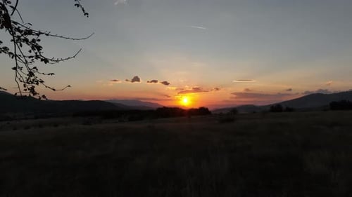 Sunset behind a lone tree on a mountain plateau. Cinematic shot of nature with a low-flying drone. W