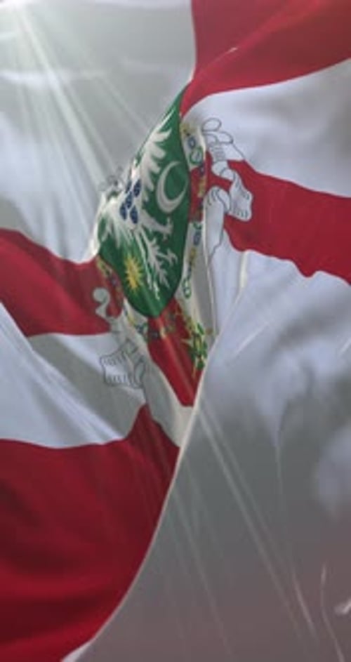 Aveiro Flag
