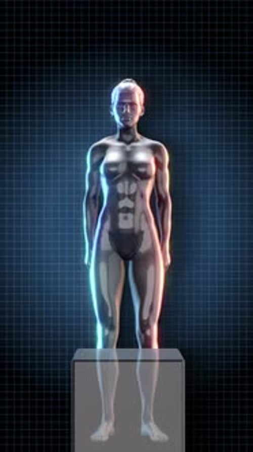 Animated 3D Female Body Squats with Glowing Muscles