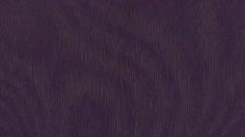 VHS glitch and tv noise overlay effect loop