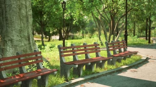 Quiet Park Pathway with Benches Surrounded By Lush Greenery in Afternoon