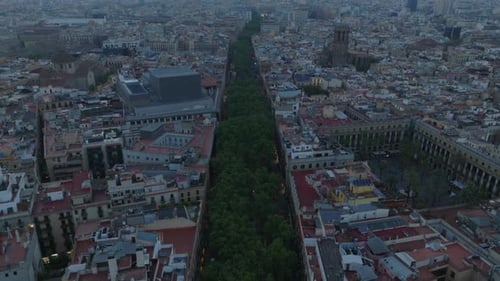 High Angle View of Stripe of Green Trees in City Tilt Up Reveal Cityscape at Dusk Famous and Popular