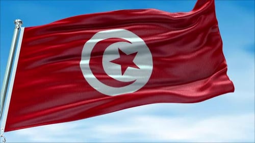 Tunisian Flag Waving Realistic Slow Motion Against Blue Sky
