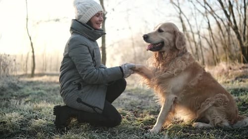 Woman bonding with Golden Retriever dog in park
