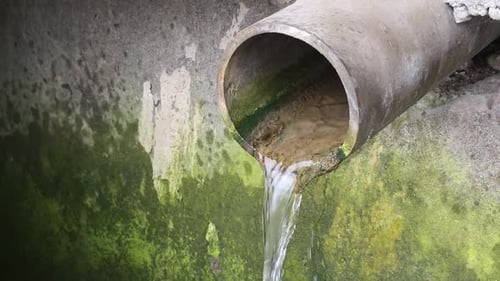 Water Flowing From Drain Pipe with Green Moss on Concrete Wall Showing Waste and Environmental