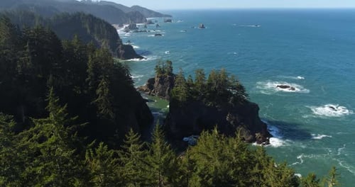 forest coastline in Oregon