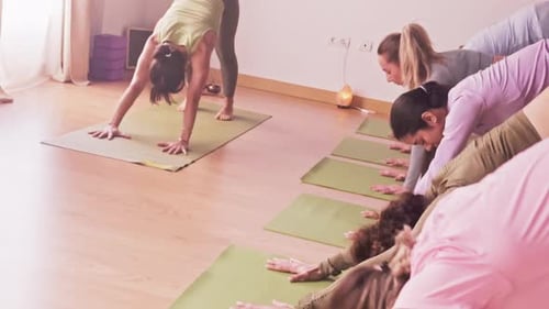 Multicultural group of women practicing downward dog yoga pose