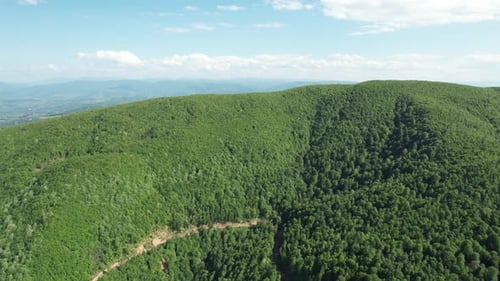 Green Mountain Forest – Scenic Nature Landscape in Summer