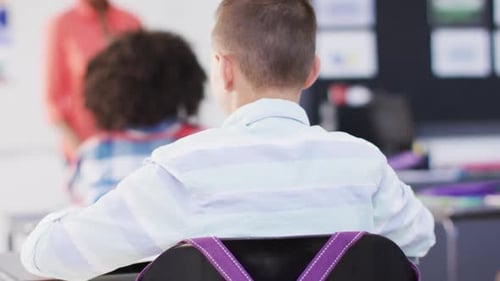 Portrait of diverse female teacher and happy schoolchildren at desks in school classroom