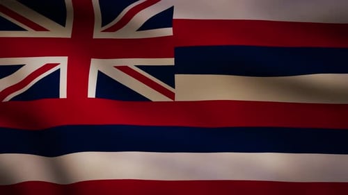 Waving Flag of Hawaii with Realistic Cloth Motion