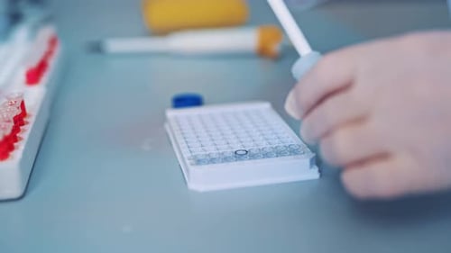 Wissenschaftliche Laborforschung. Nahaufnahme von Wissenschaftlern, die Proben in der Hand halten und untersuchen