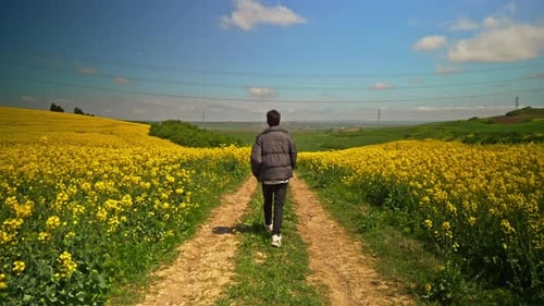 Man Walking on the Path Among the Fields 2K