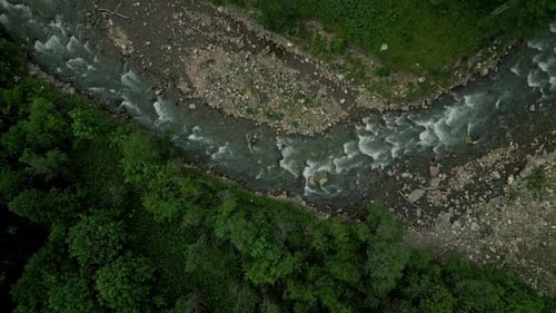 Vista desde un Zumbido del sinuoso río con rocas y bosque verde