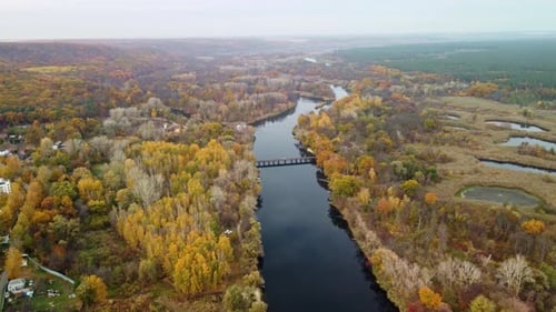 Aerial tilt down bridge on river and autumn forest