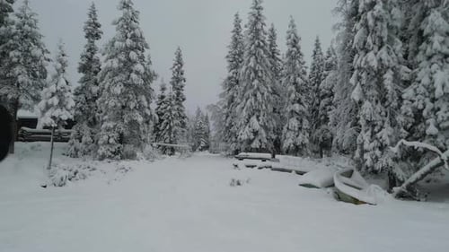 Vidéo aérienne d'un homme debout sur un lac gelé. En bordure de forêts gelées, Finlande