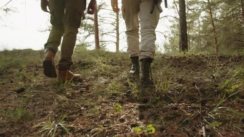 Legs of Two Hikers Walking Up Hill in Pine Forest