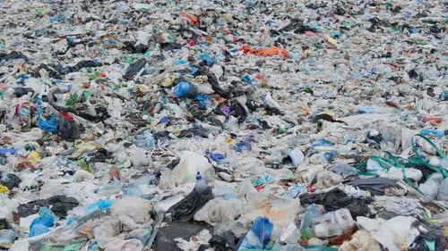 Garbage Brought By the Ocean ist eine Müllplattform