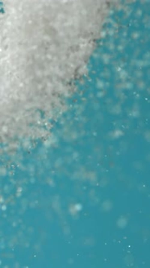 Sugar Flies Up and Down Filmed on a Highspeed Camera at 1000 Fps