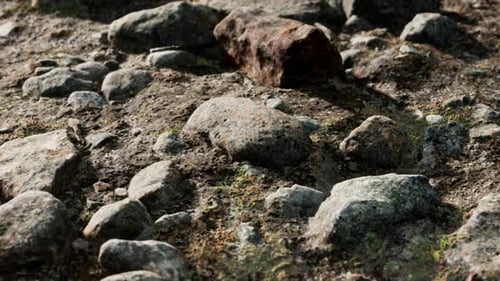 Close Up of Rocky Stones Formation
