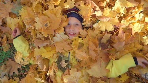 Child Lying in Colorful Autumn Leaves