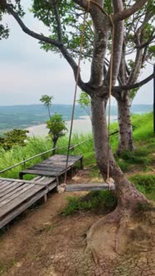 Wooden swing with the view of beach over the hill. Vertical video