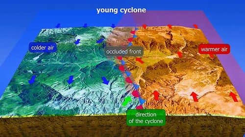Young Cyclone Formation and Frontal System Animation
