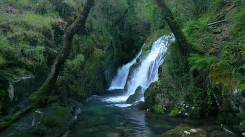 Amazon Jungle With Falls Over Moss-Covered Boulders On Santa Leocadia Waterfall In Mazaricos, Galici