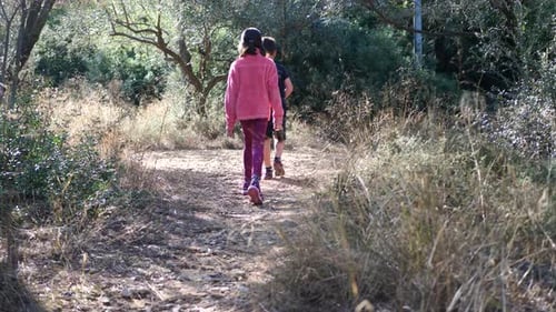 Brother and sister walking together on a dangerous path in the forest. Slow-motion gimbal shot.