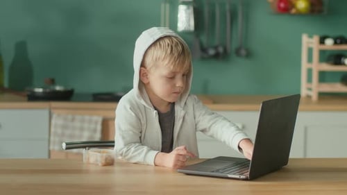 Little Boy Playing on Laptop in the Kitchen Technology for Schoolboy