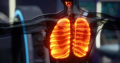 3D Digital Animation of Human Lungs and Respiratory System