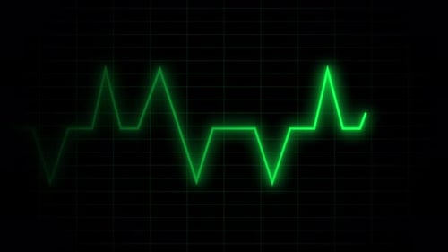Health Care Heartbeat Monitor Screen Interface