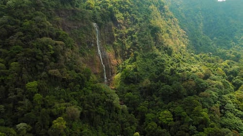 Tropical Jungle Landscape with Tall Diamond Waterfall and in Forest Costa Rica