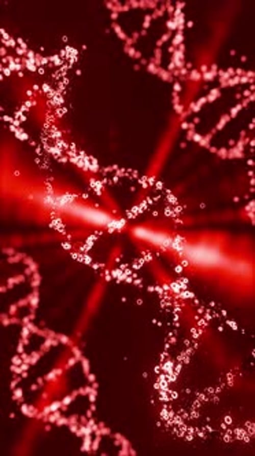3D Animation of Red Colored DNA Helix Moving in Loop