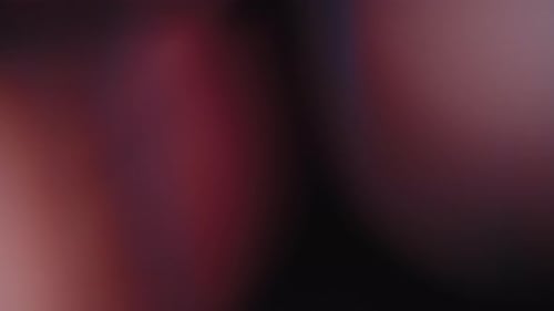 Multicolored Light Leaks Footage on Black Background Lens Flare Leak Burst Overlays Transitions