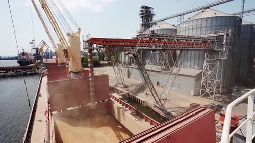 Grain Loading to Bulker Ship Cargo Container at Sea Grain Terminal in Seaport Wheat Shipment From