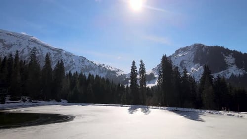 Schneebedeckte Berge, die sich an einem sonnigen Tag mit blauem Himmel im Hintergrund eines Pinienwaldes verstecken