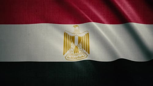 Seamless Loop Realistic Waving Egypt National Flag