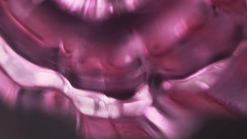 Abstract Fluid Pink and Purple Seamless Looping Background