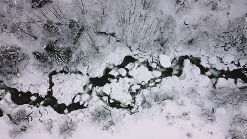 Snowy Forest And River