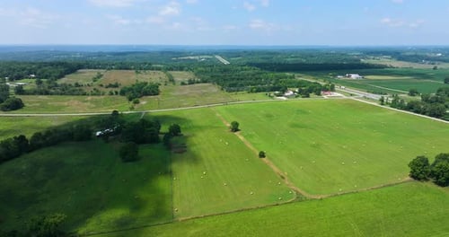 Hay Bales Scattered on Farm Field in Summer