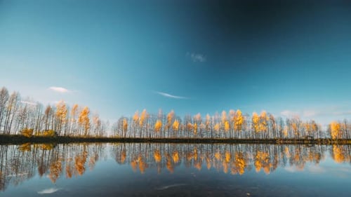 Autumn Forest Woods Lake Coast