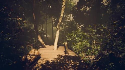 Nature Path Through Dense Forest with Wooden Bridge at Twilight