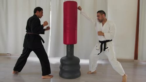Martial Arts Practitioners Training in Uniform