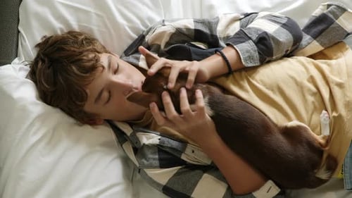 Niño abrazando a su perro chihuahua en una cama blanca