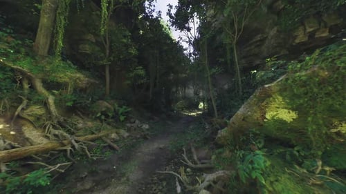 Twilight Forest Hollow donne lieu à une ambiance de tournage de Bright Exit