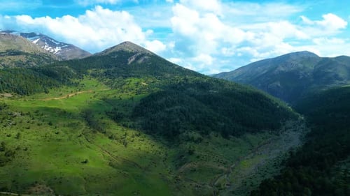 Magnificent pine forests mountain landscapes