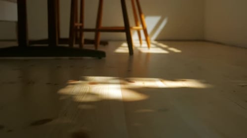 Schatten auf Holzboden mit sich wiegenden Blättern im Wind