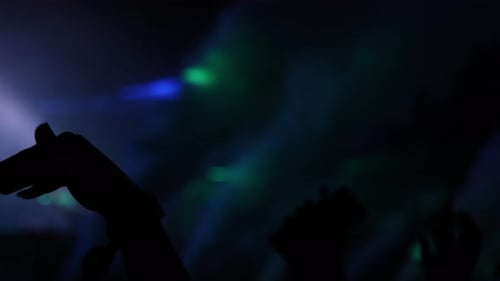 Concert Crowd Silhouettes with Flames and Stage Lighting