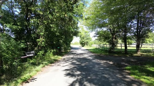 Rural country road with trees surrounding sides, 4k slow motion pedestal
