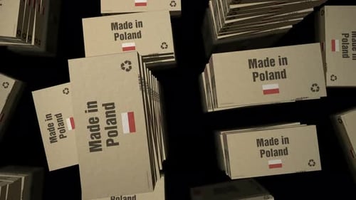 Made in Poland box pack production loop